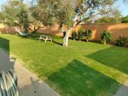 Top Conil de la Frontera