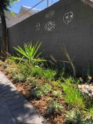 Top Bloemfontein