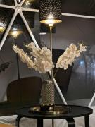 Top Malanów Top Malanów