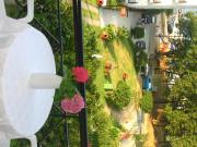 Top Agios Ioannis Pelio