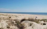 Top Virginia Beach