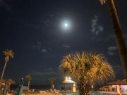 Top Daytona Beach Shores