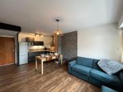 Superbe appartement rénové aux Gets, proche centre et pistes, balcon, casier à skis - FR-1-623-155