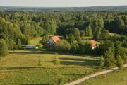 Klarysewo Slow Mazury przy lesie