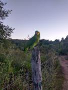 Top Alto Paraíso de Goiás