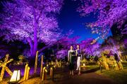 Grand Prince Hotel Shin Takanawa Grand Prince Hotel Shin Takanawa