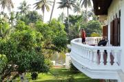 Top Alleppey