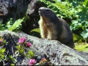 Top Luz-Saint-Sauveur