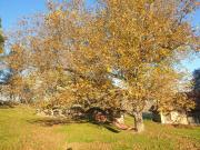 Top Zece Hotare Top Zece Hotare