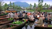Top Srinagar