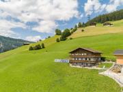 Top Wald im Pinzgau