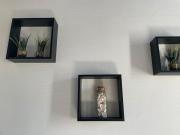 St Bruno - Studio « Palmiers »