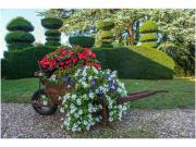 Top Cangey Top Cangey