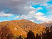 Vila Iepurasul Sinaia