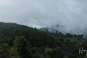 Top Mae Rim