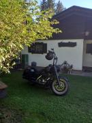 Top Fresach