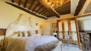 Top Todi