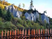 Wiesenheimhof - Apt 2