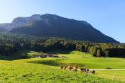 Top Ruhpolding