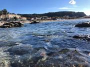 Top Milazzo Top Milazzo