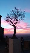 Top Cortona