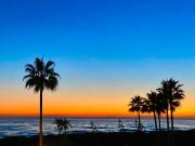 Top Marbella