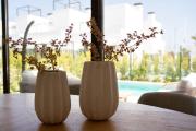 Top Torre-Pacheco