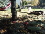 Małopolskie Swojskie