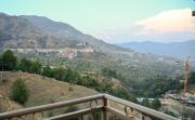 Top Solan