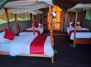 Nyakulo safari camp