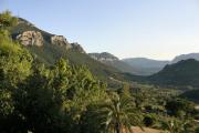 Top Dorgali