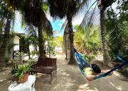 Top Isla Holbox
