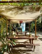 Top Isla Holbox