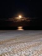 NEW STYLISH BEACH FRONT APARTMENT