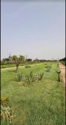 Top Sidi Rahal