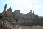 Top Urbino