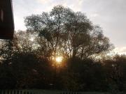 Top Lutowiska Top Lutowiska