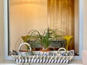 Top Torre del Lago Puccini