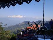 Top Darjeeling