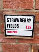 Strawberry Fields