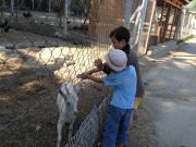 Top Dunajská Streda