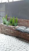 Top Mendoza