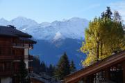 Top Verbier