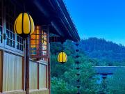Top Wudangshan