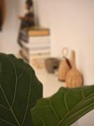 Top Santa Cruz de Tenerife