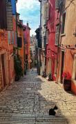 Top Rovinj