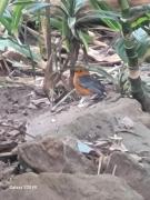 Clansthal beach get away