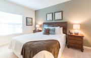 Top Orlando