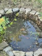 Top Besse-et-Saint-Anastaise