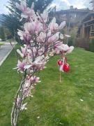 Apartament by Zenit in Terra Complex B30